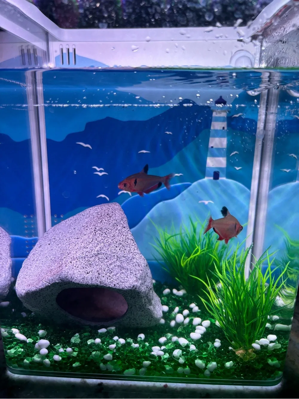 Fish Tank with lighthouse scene (1.5 gallon)